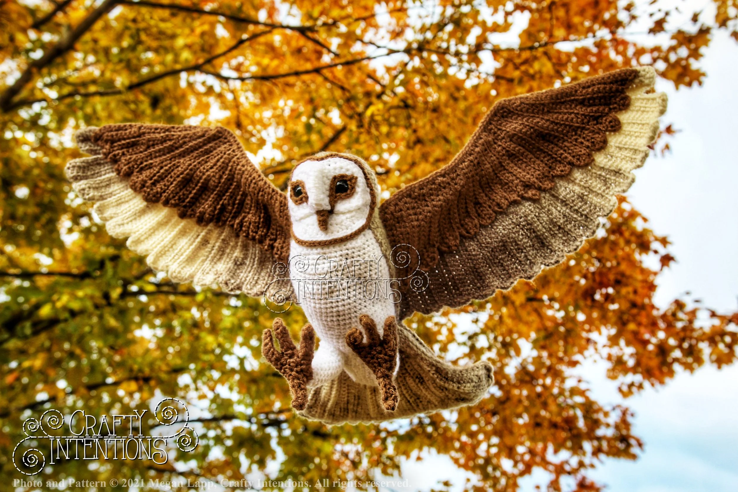 Barn Owl Flying — Crafty Intentions